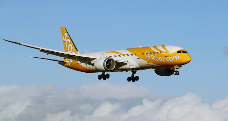 Scoot B787 Dreamliner