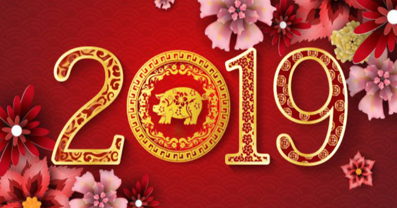 CNY 2019 Bus Tickets Available Online